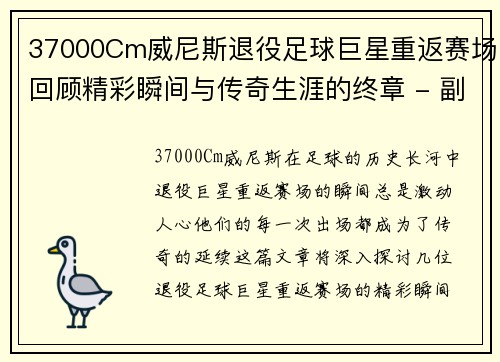 37000Cm威尼斯退役足球巨星重返赛场回顾精彩瞬间与传奇生涯的终章 - 副本
