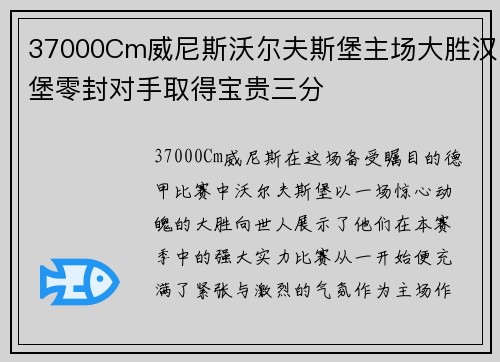 37000Cm威尼斯沃尔夫斯堡主场大胜汉堡零封对手取得宝贵三分