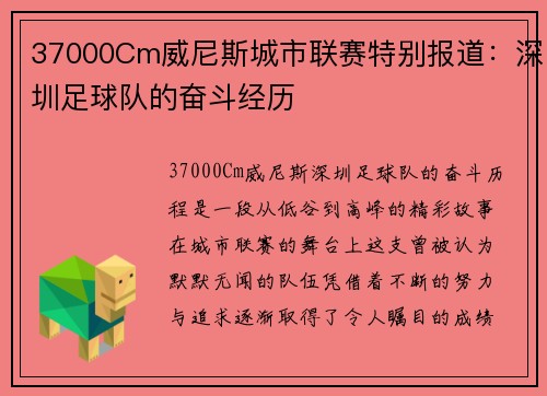 37000Cm威尼斯城市联赛特别报道：深圳足球队的奋斗经历
