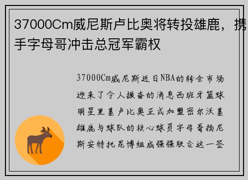 37000Cm威尼斯卢比奥将转投雄鹿，携手字母哥冲击总冠军霸权
